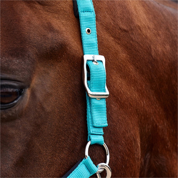 2026 Dublin Neo Comfort Headcollar 1031035 - Dark Turquoise